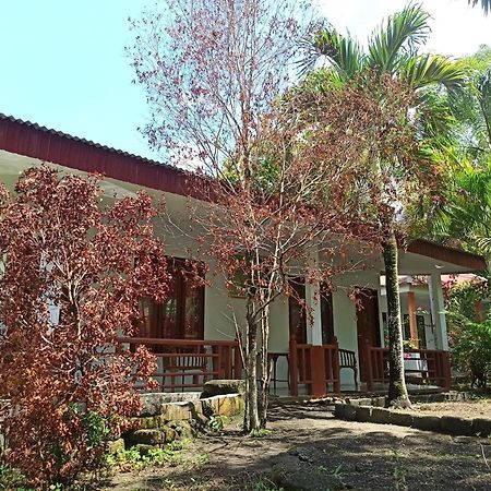 Tangkoko Jungle Homestay Rinondoran 外观 照片