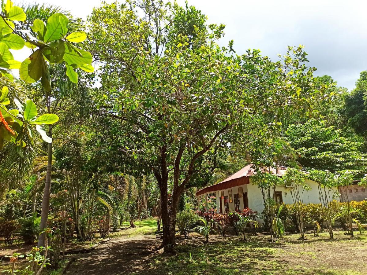 Tangkoko Jungle Homestay Rinondoran 外观 照片