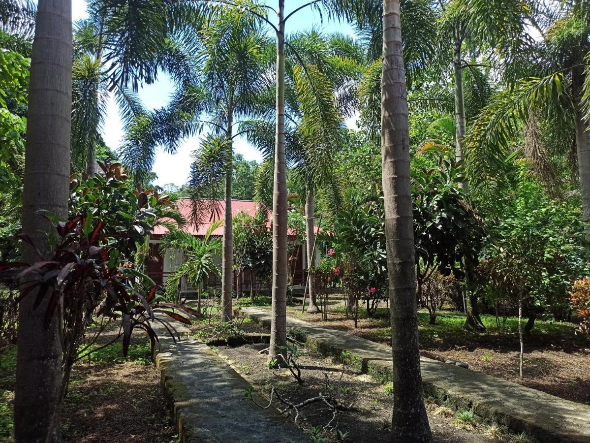 Tangkoko Jungle Homestay Rinondoran 外观 照片
